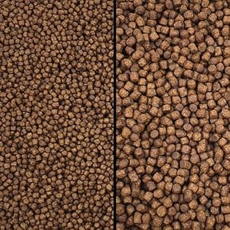 Koi Growth Pellets Floating - Pond Fish Food Carp Goldfish Coldwater Chub Grower (Small Pellet Size (3mm), 100g)