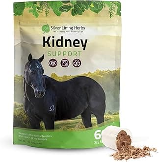 Silver Lining Herbs Kidney Support Supplement for Horses - Horse Supplements for Kidney Health and Bladder Support - Complete with Chamomile, Garlic, Juniper Berry, and More - 1 lb 60-Day Supply
