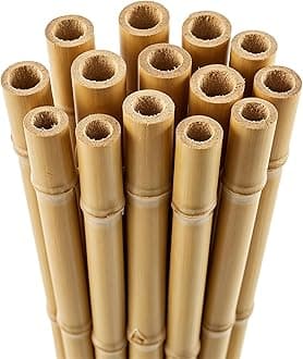 Blado Thick Bamboo Canes - Heavy Duty, Natural Garden Stakes, Strong Bamboo Sticks for Plant Support - Ideal for Gardens, Balconies, Patios, and Outdoor Spaces 2FT,3FT,4FT,5FT,6FT (50, 2ft, 6-8mm)