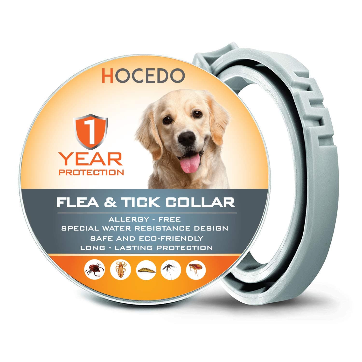 Incubation Disinfectant Concentrate 100ml