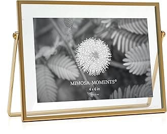 MIMOSA MOMENTS Brass Metal Floating Picture Frame (Brass, 4x6 horizontal)