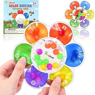 ZaxiDeel Sensory Toys Color Sorting Toys: Quiet Fidgets for Classroom Montessori Toy for Toddlers, Preschool Learning Activities Calm Dwon Travel Toy for Boys Girls Gifts Ages 1-3 3-5