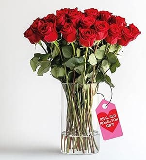 GlobalRose 24 Fresh Cut Red Roses - Fresh Flowers Bouquet for Valentine's Day, Wedding, Birthday, Anniversary, Bridal Shower, or Home Decor