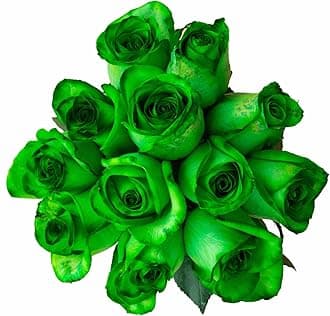 36 Stems - Fresh Cut Tinted Green Roses from Flower Explosion