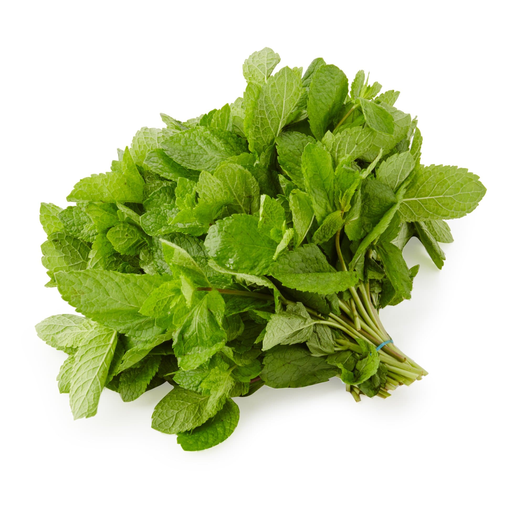 Langmead Herbs Fresh Cut Mint 100g