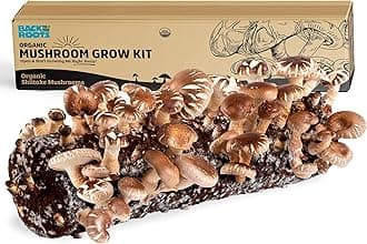 Back to the Roots Organic Shiitake Mushroom Kit; Great Gift; Easy for Beginners, For Indoor Growing (Start Growing Right Away)