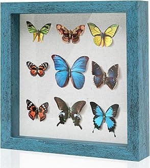 Muzilife 8x8 Shadow Box Picture Frame with Linen Board - Deep Wood & Glass Display Case to Hang Memory Box Baby Sports Memorabilia, Pins, Awards, Medals, Wedding, Tickets and Photos, Rustic Blue