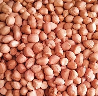 Groundnut - Raw Peanuts - 500gm (kachi mungfali | goober |monkey nut)