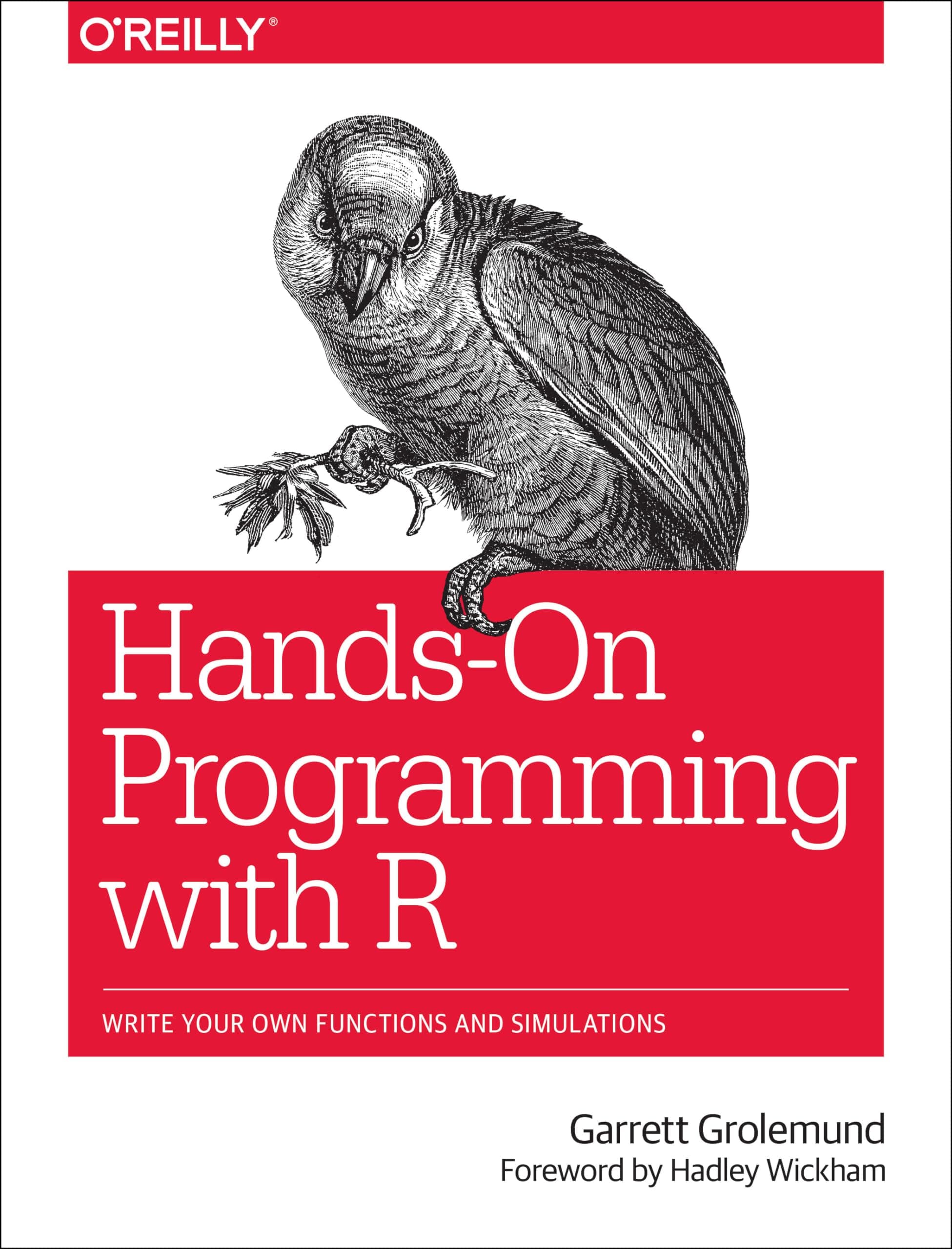 Hands-On Programming with R: Write Your Own Functions and Simulations 1st Edition