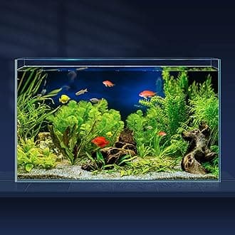 10 Gallon Ultra Clear Glass Fish Tank, Rimless Low Iron Aquarium for Betta/Nano/Goldfish/Snail/Shrimp, Big Fish Tank & Cover Set & Feeding Ring & Cleaning Tools
