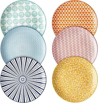 8 inch Porcelain Dinner Plates, Large Size Serving Plate for Salad, Pancakes, Steak, Set of 6, Assorted Colors
