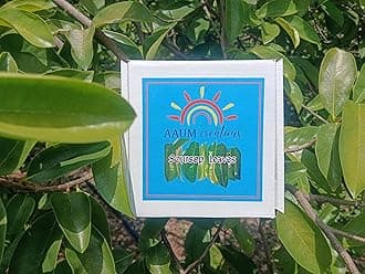 SOURSOP LEAVES Shadow DRIED Natural - 150 Loose Leaves (150+50 Extra) - Graviola Annona Muricatta Lakshman Phal Mullu Seetha Ram Phal - 15 Days Pack