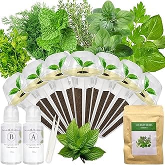 Gourmet Herb Seed Pod Kit for AeroGarden, idoo, Ahopegarden, MUFGA with Basil, Parsley, Thyme, Mint, Cilantro, Dill, Oregano - Compatible with All Hydroponics (7-Pod)