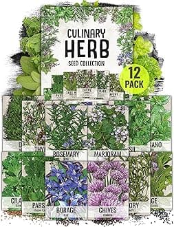 Seed Needs Herb Seeds Variety Pack Culinary Herb Collection (12 Individual Packets for Planting Indoors or Outdoors) Grow Your Own Herb Garden - Heirloom, Non-GMO