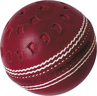 Gunn & Moore GM Cricket Ball | Rubber Training Skills Swing & Machine Balls | Men's Women's & Junior Sizes | Red White or Pink | Single, 6 or 24