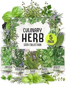 Seed Needs Italian Herb Seed Packet Collection (5 Individual Seed Varieties for Planting) Non-GMO & Untreated - Oregano, Basil, Rosemary, Sage and Parsley