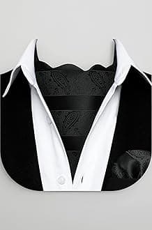 HISDERN Cravat for Men Paisley Floral Cravats Handkerchief Jacquard Wedding Ascot Tie & Pocket Square Set