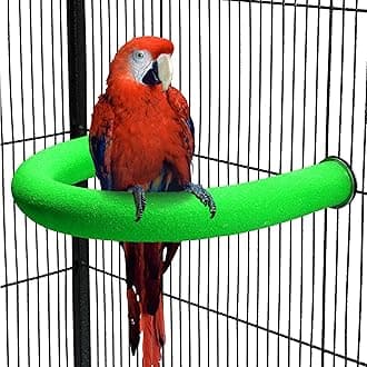 U Shape Parrot Perch Stand Toy Bird Platform Sand Paw Grinding Clean Stick Exercise Conure Budgie Cockatiel Cage Accessories (Large-Green)