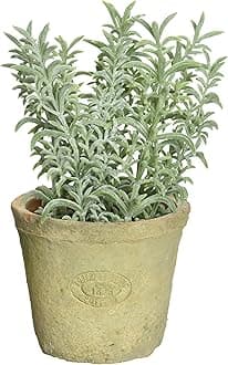 Artificial Herb Plant, Thyme, Small