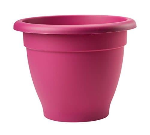 Stewart 2002054 33 cm Essentials Planter - Cherry