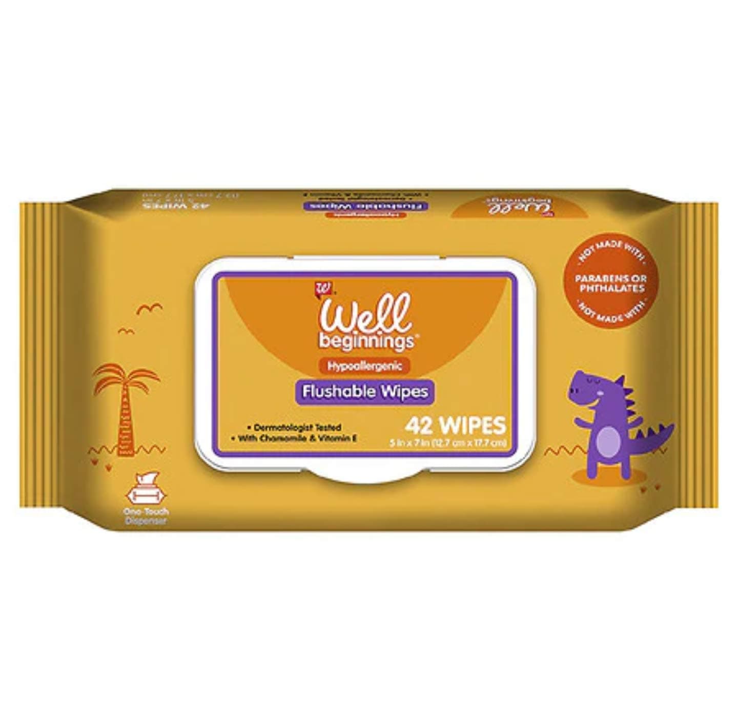 Well Beginnings Flushable Wipes 42 ea (Pack of 3)