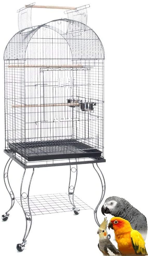 Large 64-Inch Dome Open Plays Perch Stand Top Cage for Parrot Cockatiel Cockatiels Parakeets with Removable Rolling Stand