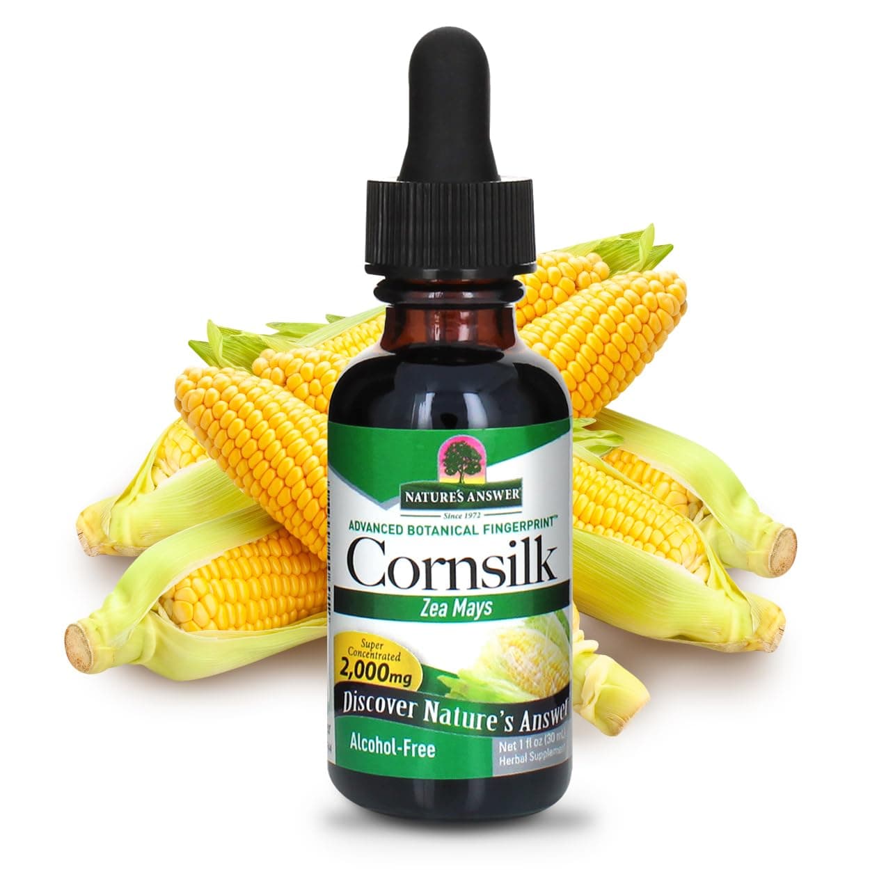 Nature's Answer Corn Silk Extract, 1 FL Oz(Alcohol Free) (Pack of 1)