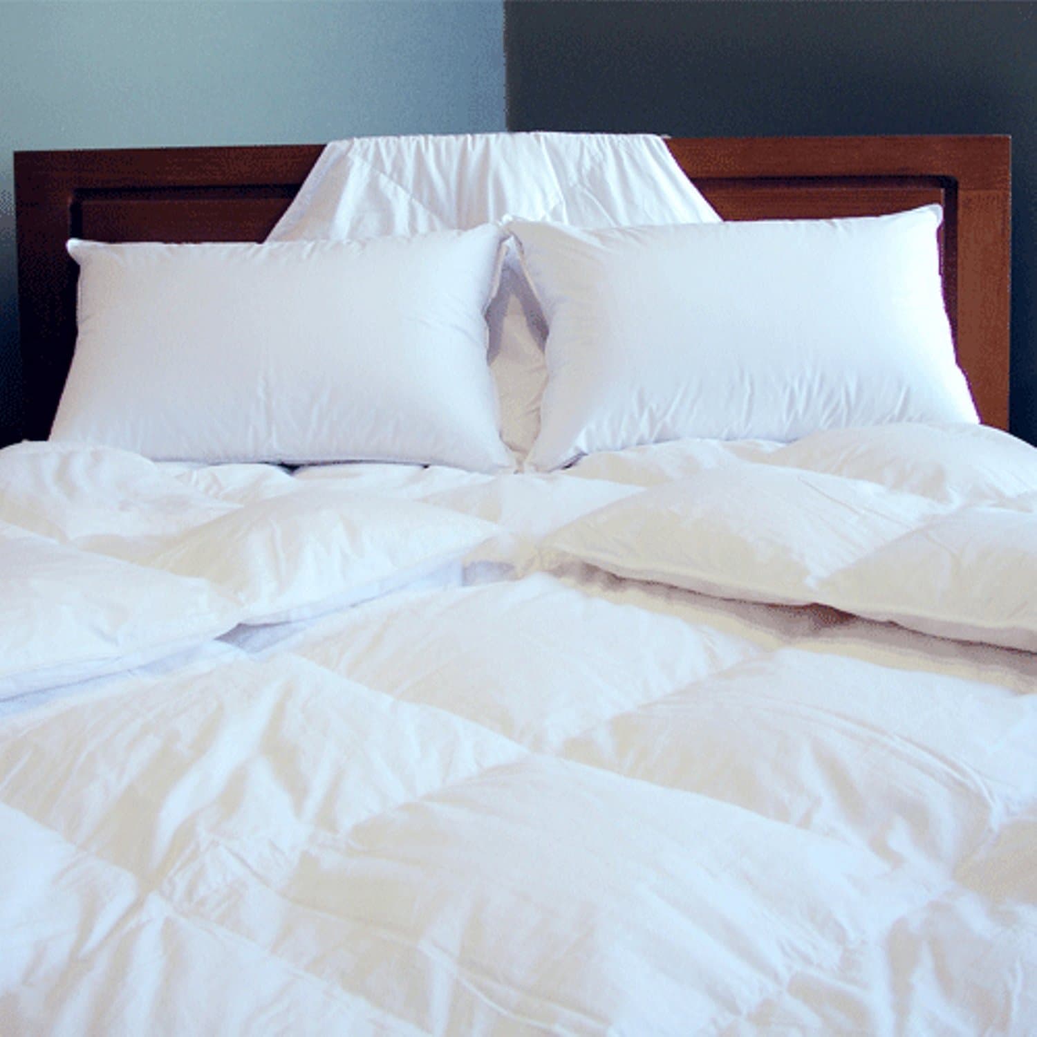 Dreamsong D40B200412 Country Down Double Comforter