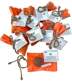 Seed Balls of Wildflower Seeds | Set of 10 Individually Packed Beej Balls | Eco-Friendly Gardening Kit | Sustainable Green Gifting | Easy to Grow Flower Mix