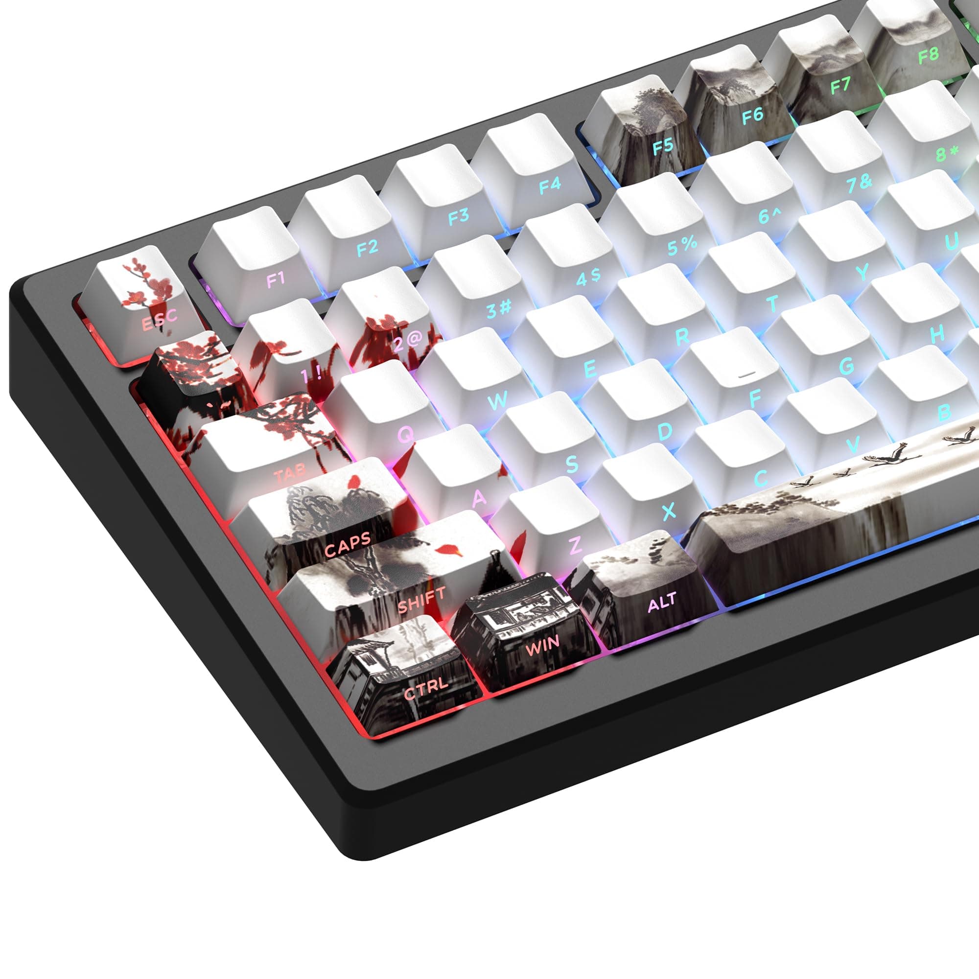 XVX PBT Keycaps - Side Print, Shine Through Custom, Retro Keycap Set, 75 Percent, Cherry Profile, 128 Keys, Plum Blossom
