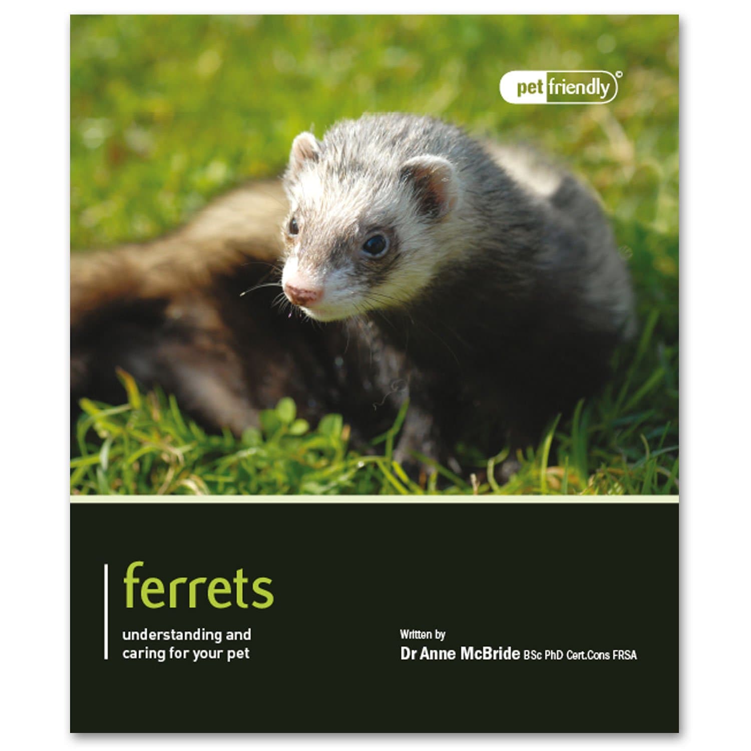 Ferrets - Pet Friendly