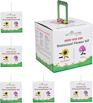 Grow Your Own Premium Kit - Best Return Gift For Kids Birthday Party (Seasonal Flower Kit with Owl Pot, 1, count)